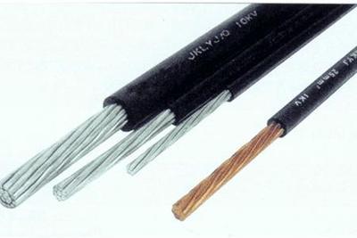 1558921651305293.jpg 5ce807043e27f.jpg